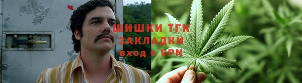 МДПВ Горнозаводск