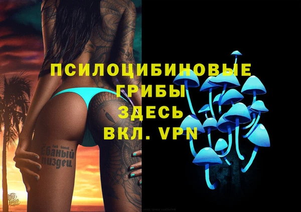 скорость Гусев