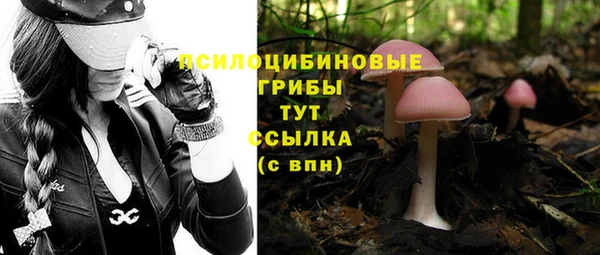 МДПВ Горнозаводск