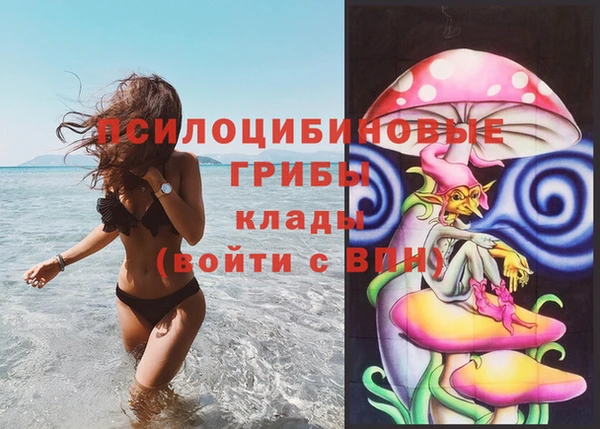 МДПВ Горнозаводск