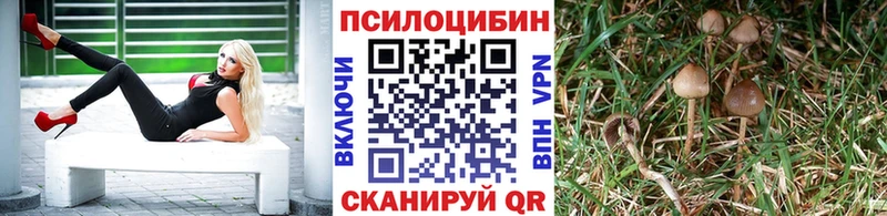 Галлюциногенные грибы прущие грибы  Купить  Аша 