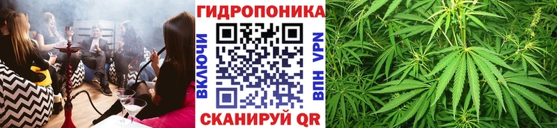 Шишки марихуана семена Аша