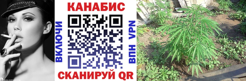 Купить  Аша  Шишки марихуана индика 